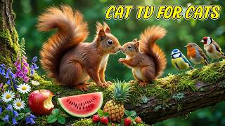 Ultimate TV for Cats 😺 Vibrant Birds & Soft Garden Motion | 4K 60FPS screenshot 4