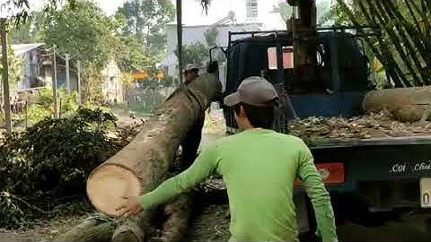 Cần cẩu UNIC 360k, cẩu cây dài lên xe cực chất.