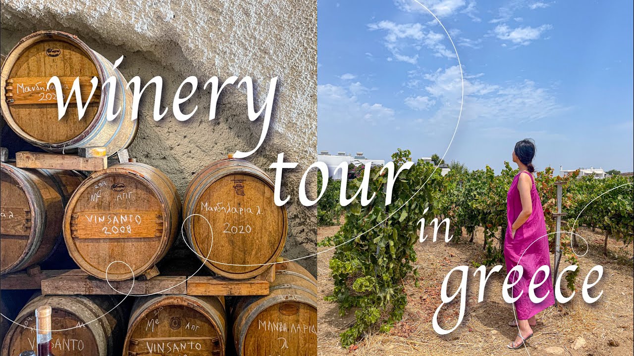 산토리니에서 꼭 가봐야 할, 그리스 와이너리 랜선 여행