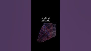 القرآن الكريم  #اكسبلور #قران #quran #القرآن_الكريم