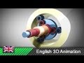 Ravigneaux Planetary Gear Set (Animation)