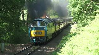 D1015 Northwood Halt 19th May 2024