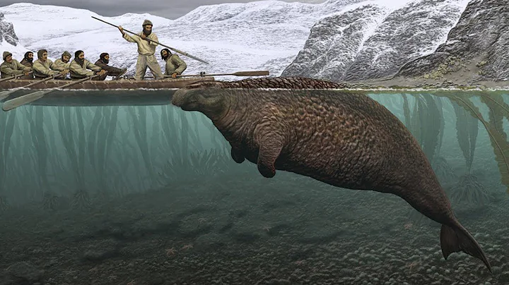 A Giant Extinct Sea Cow