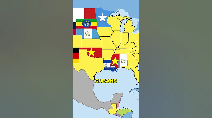 The USA by its Non-American Population! #usa #geography #unitedstates