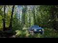 OBS Explores The Enchanted Forest OBS Explores The Enchanted Forest