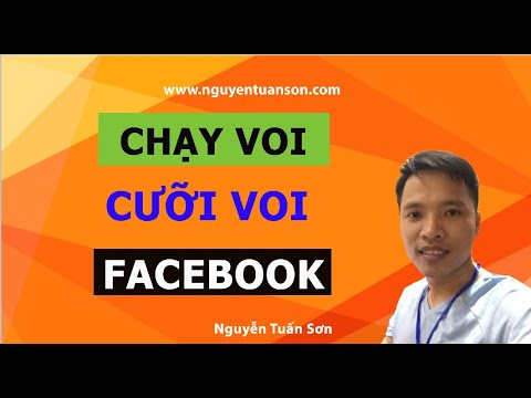 Tất cả về chạy voi facebook - Voi là gì - có nên cưỡi không?