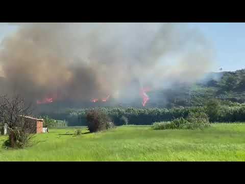 Ancora incendi a Campomarino