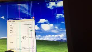 Windows XP