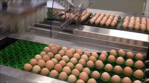 Optipack 70 farmpacker 25000Eph