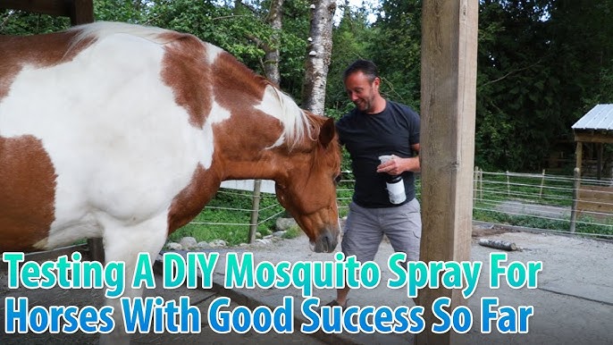 DIY Mane and Tail Detangler  HOMEMADE HORSE HACKS! Works as a Coat  Conditioner Too! 