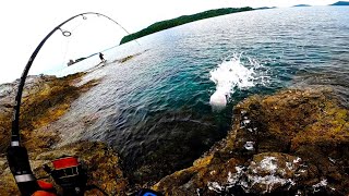 The Best Lure For Top Water Fish | Fotstep Minnow Blue Mackarel | Fishing In the Philippines