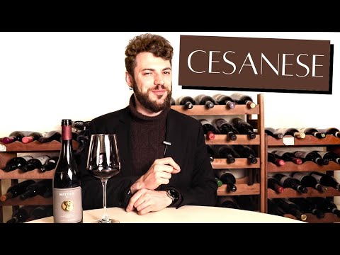 Tasting one of the best wines of Lazio - Matidia Cesanese by Casale del Giglio