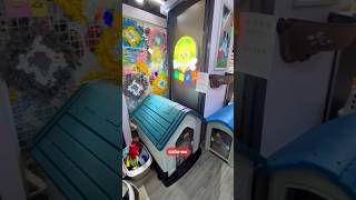 Абсолютно ВСЁ для домашних животных!🐈