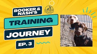 Partners Dog Training Journey | Booker & Nash | Ep. 3