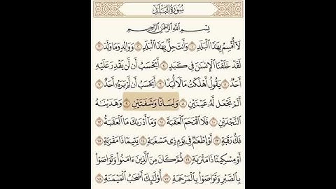 سورة البلد كاملة