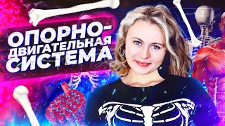 Опорно-двигательная система | Летний курс | БиоФАК 2022