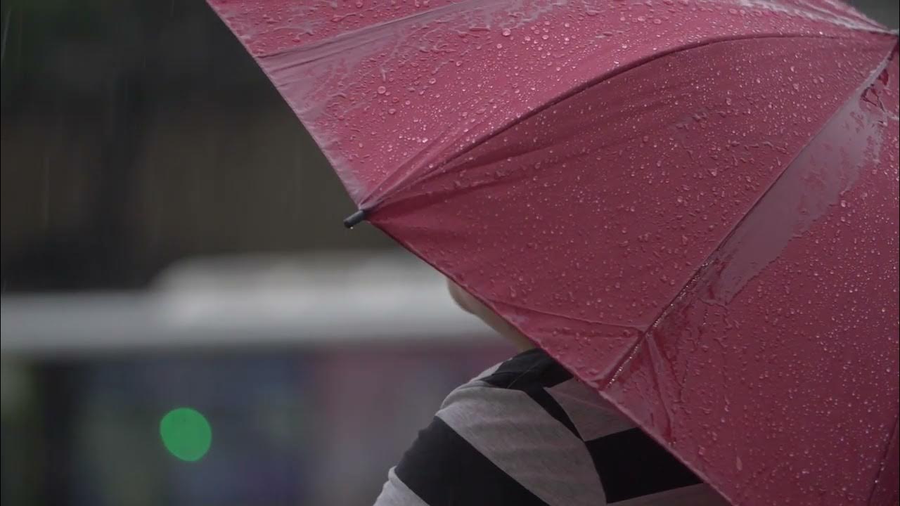 Rain Soaked Umbrella 01 - YouTube