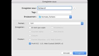 Quel est le format le plus adapté pour diffuser un document à imprimer ?