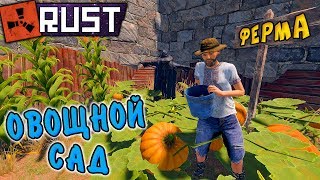 RUST - Ферма в Расте. Рейд соседей в онлайне. Знаю где находится Лут. RUST - Ферма в Расте. Рейд соседей в онлайне. Знаю где находится Лут.