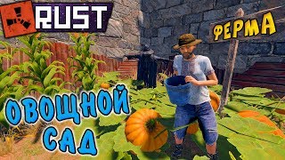 RUST - Ферма в Расте. Рейд соседей в онлайне. Знаю где находится Лут.