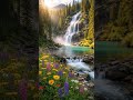 Beautiful Relaxing Music Stress Relief 🌼Soothing Music With Nature Sound &amp; Calm The Mind, Deep Sleep