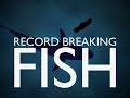 Record breaking fish  grayling  chub  river test fishing  timsbury  matt hayes