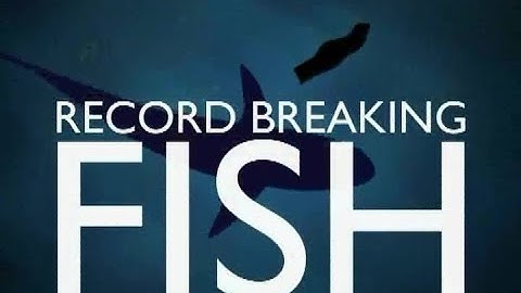 Record Breaking Fish - Grayling - Chub - River Test Fishing - Timsbury - Matt Hayes