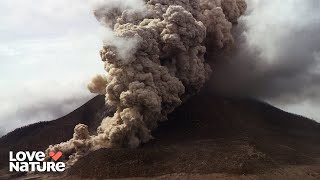 How Mexicos Volcanoes Shaped History And Tequila Volcanic Odysseys 202