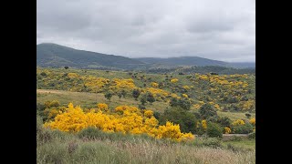 видео: День 28 | Foncebadón - Molinaseca | Камино де Сантьяго картинка: День 28 | Foncebadón - Molinaseca | Камино де Сантьяго