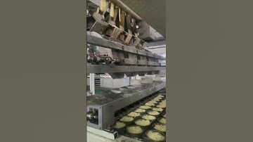 Interesting machine！Factory Instant noodle production line 1 #machinery  #youtube #factory #machine