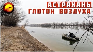 АСТРАХАНЬ! ГЛОТОК ВОЗДУХА / РЫБАЛКА, ОТДЫХ И ОТКРЫТИЕ СЕЗОНА