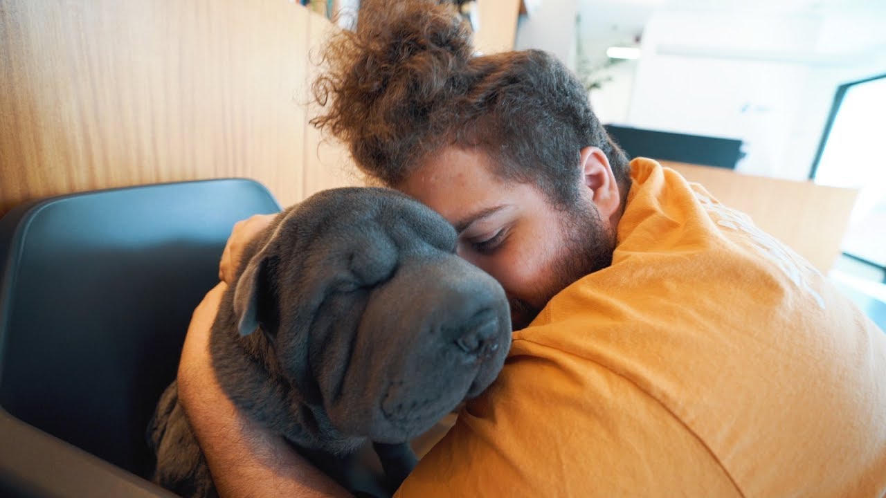 Cao do wuant Clearance