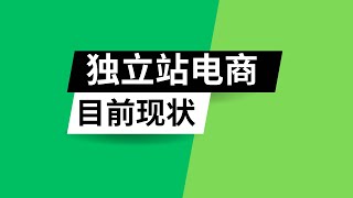 独立站跨境电商现状