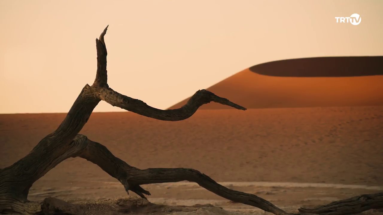 Namibya Belgeseli