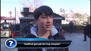 Hüdhüd Gerçek Bir Kuş Muydu?