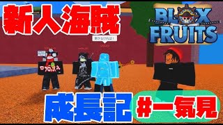 【ブロックスフルーツ】『新人海賊達を育てる！』という嘘をついて暴れまくったブロフルシリーズ  - BloxFruits 新人海賊成長期#一気見