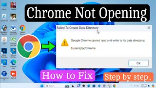 Google Chrome Failed to Create Data Directory in Telugu