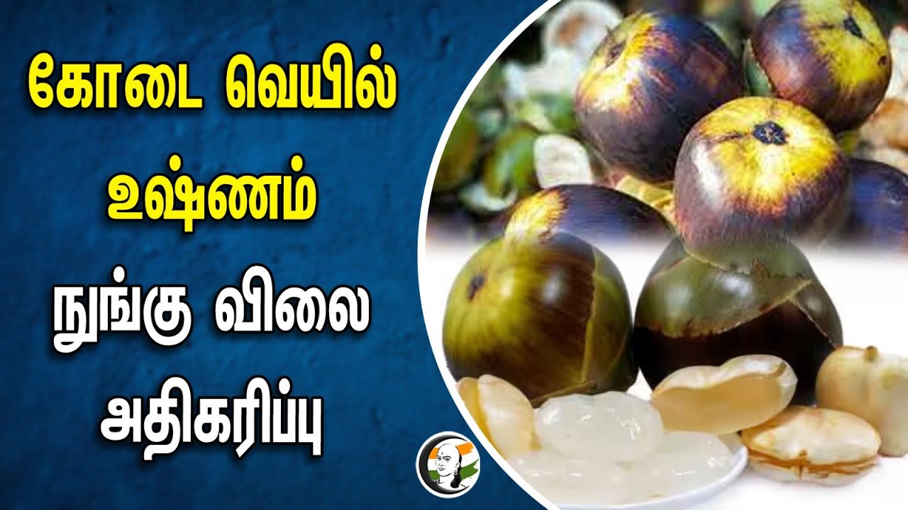 ⁣கோடை வெயில் உஷ்ணம்.. நுங்கு விலை அதிகரிப்பு | Nungu | Summer