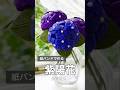 紙バンドの紫陽花(あじさい)の作り方♦︎梅雨を楽しむかわいいインテリア♦︎ #ハンドメイド #手作り工作 #diy