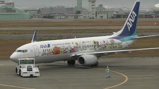 フラワージェット ANA (All Nippon Airways) Boeing 737-881 JA85AN Tohoku Flower Jet