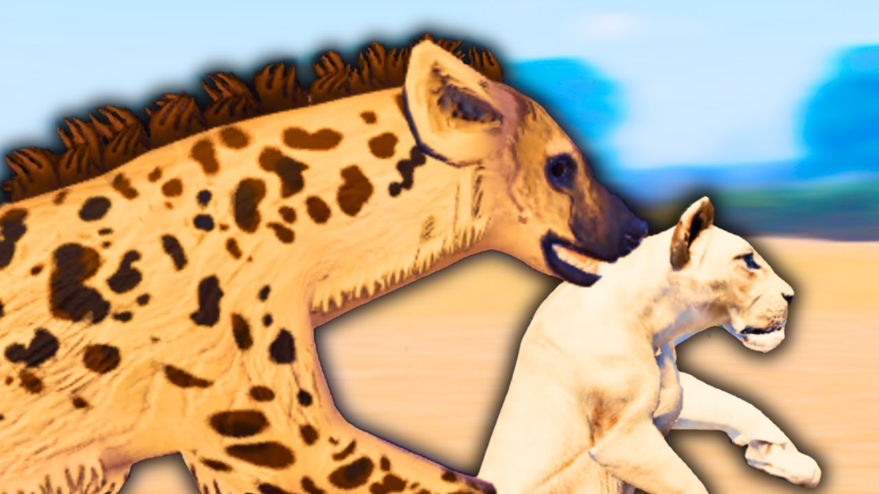 ГИЕНА ПОХИЩАЕТ ЛЬВЯТЕНКОВ!! | Вечные враги