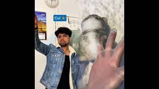 Trouve Un Re À La Vidéo Viral