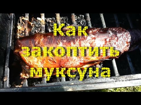 Видео рецепт Копченый муксун