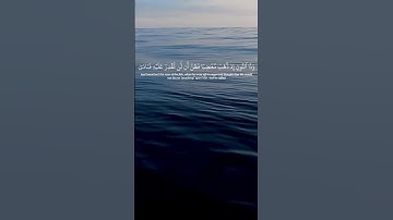 ذا النون💙/تلاوة قرآن ياسر الدوسري سورة الانبياء/ #اكسبلور #قرآن #explore