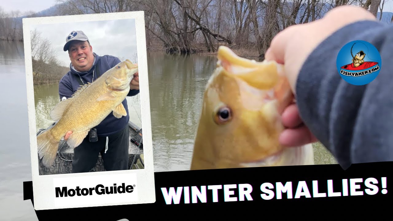 Winter Smallmouth Bass Action!  #fishing #bassfishing #susquehannariver