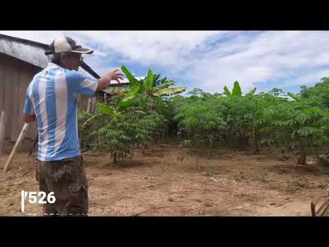 josef stalin Proyecto CTM Libertad de Cuyparillo -Loreto PERU
