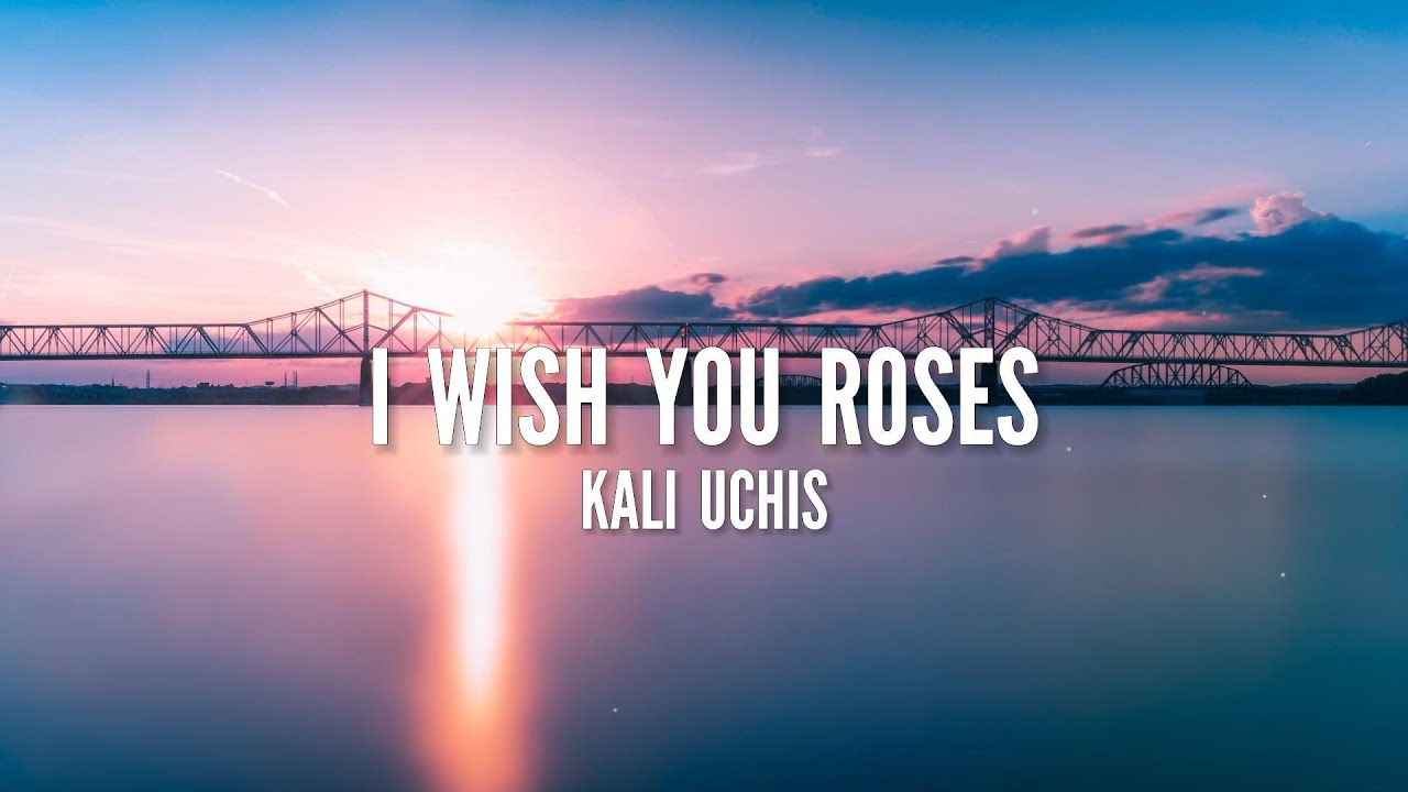 Kali Uchis I Wish you Roses (Lyrics) YouTube