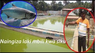 Zifahamu Faida za Ufuagaji wa Samaki Kwa Njia ya Kisasa