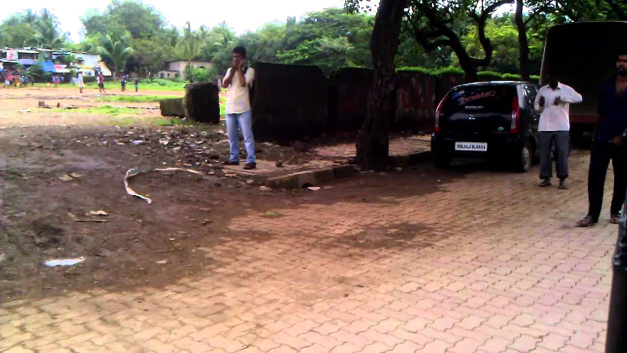 A ride through government colony.