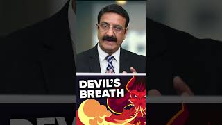 Devil's Breath - Scopolamine